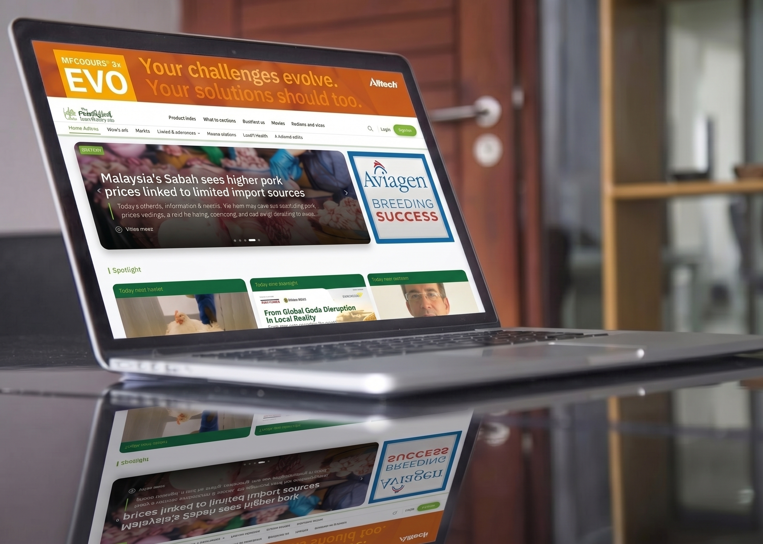 Website and display advertising placements